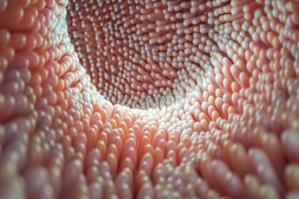 Bir organ kadar önemli! Dengesi bozulursa hasta ediyor