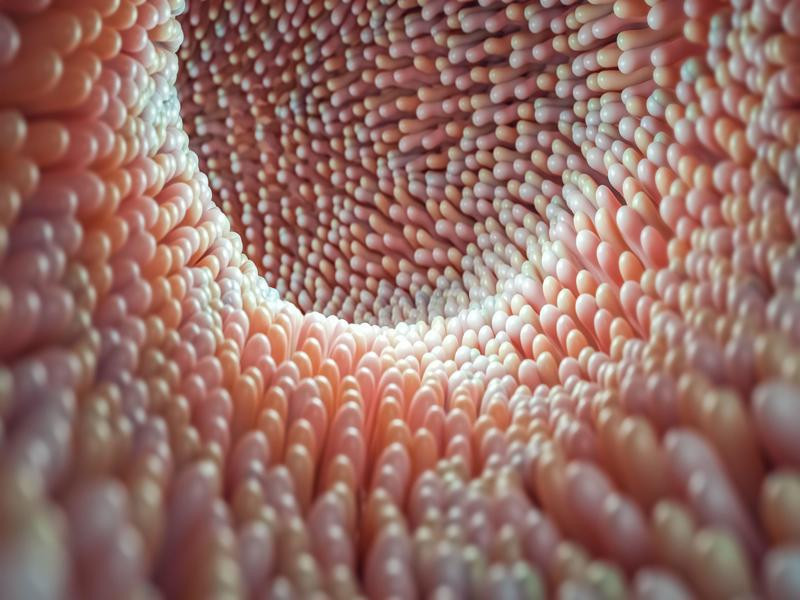 Bir organ kadar önemli! Dengesi bozulursa hasta ediyor