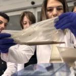 Balık bayat mı değil mi? Balığın tazeliğini artık elektronik burun bilecek